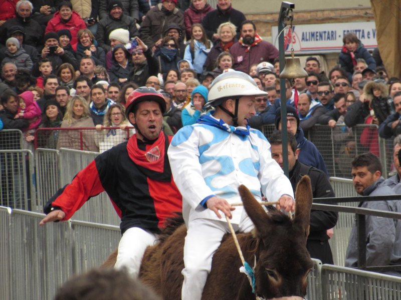 Uno sguardo a chicken road